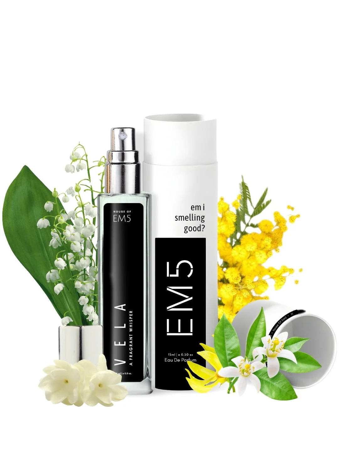 Vela | Eau De Parfum - Image 6