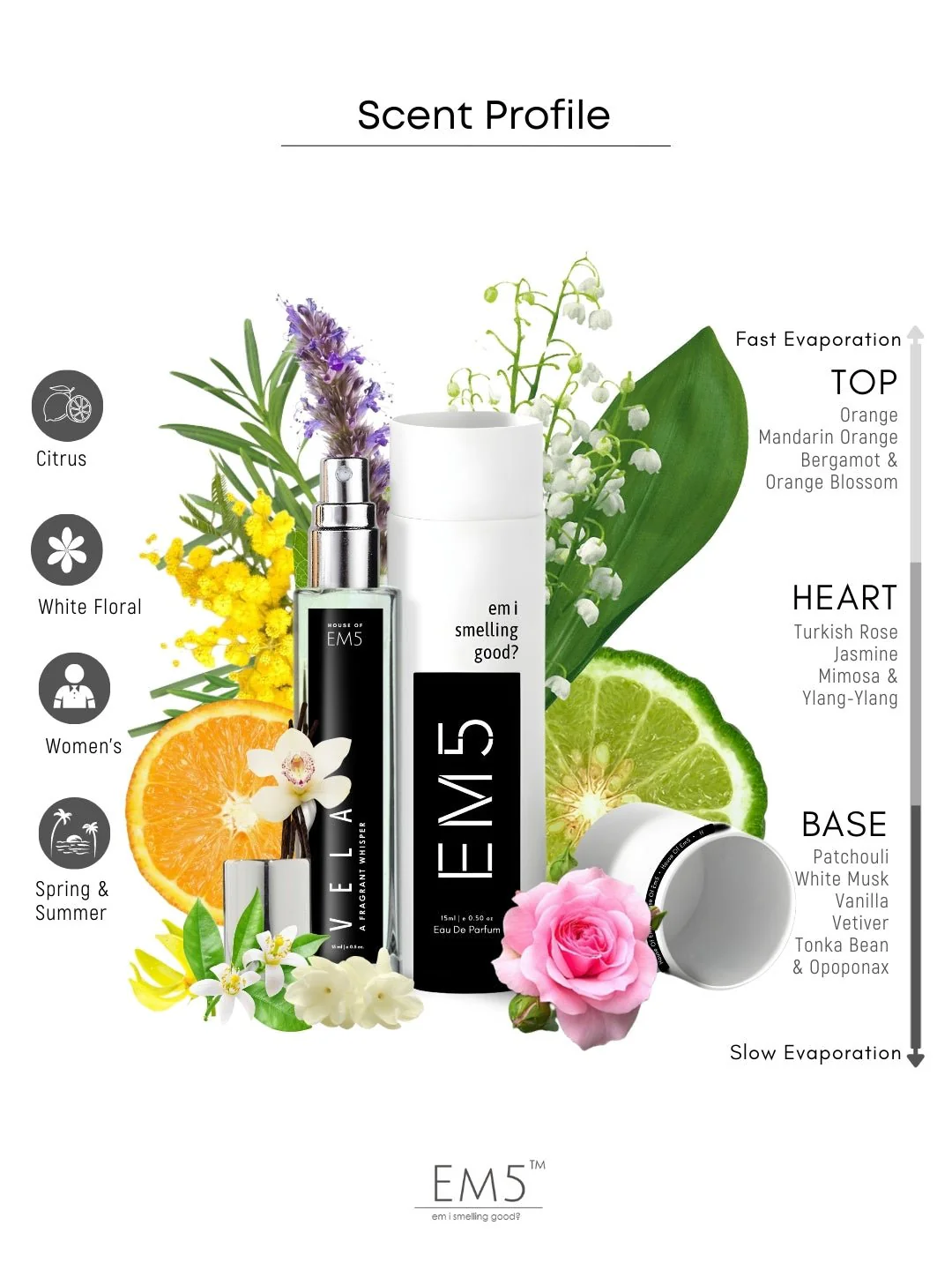 Vela | Eau De Parfum - Image 7